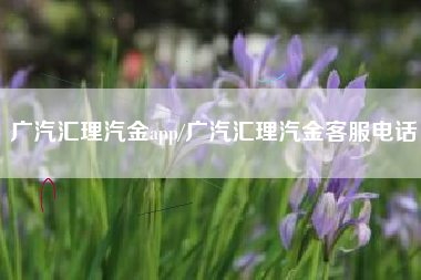 广汽汇理汽金app/广汽汇理汽金客服电话