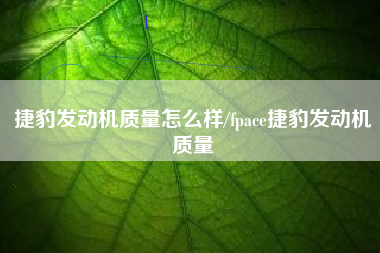 捷豹发动机质量怎么样/fpace捷豹发动机质量 捷豹发动机质量怎么样/fpace捷豹发动机质量