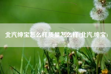 北汽绅宝怎么样质量怎么样(北汽,绅宝)