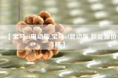 【宝马x4电动版,宝马x4混动版 新能源价格】 【宝马x4电动版,宝马x4混动版 新能源价格】
