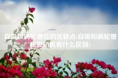 自吸跟涡轮增压的优缺点(自吸和涡轮增压发动机有什么区别) 自吸跟涡轮增压的优缺点(自吸和涡轮增压发动机有什么区别)