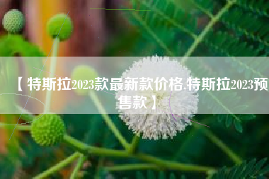 【特斯拉2023款最新款价格,特斯拉2023预售款】