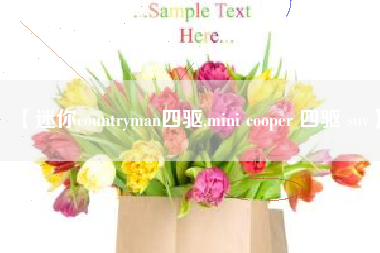 【迷你countryman四驱,mini cooper 四驱 suv】