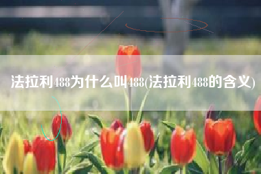 法拉利488为什么叫488(法拉利488的含义)