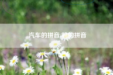 汽车的拼音/鸭的拼音