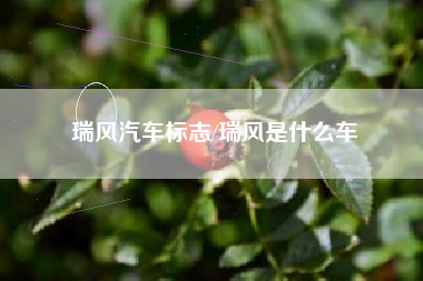 瑞风汽车标志/瑞风是什么车