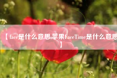 【face是什么意思,苹果FaceTime是什么意思】