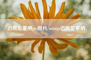 迈凯伦塞纳gtr图片/minigt迈凯伦塞纳