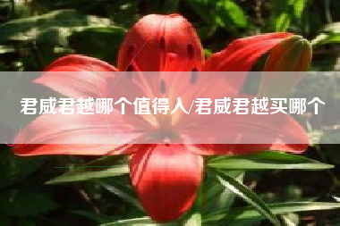 君威君越哪个值得入/君威君越买哪个