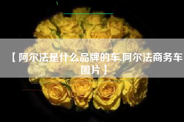 【阿尔法是什么品牌的车,阿尔法商务车图片】 【阿尔法是什么品牌的车,阿尔法商务车图片】