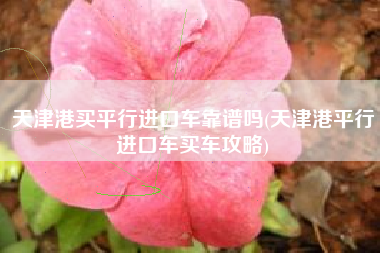 天津港买平行进口车靠谱吗(天津港平行进口车买车攻略)