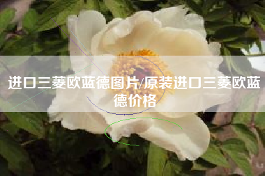 进口三菱欧蓝德图片/原装进口三菱欧蓝德价格 进口三菱欧蓝德图片/原装进口三菱欧蓝德价格