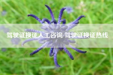 驾驶证换证人工咨询/驾驶证换证热线