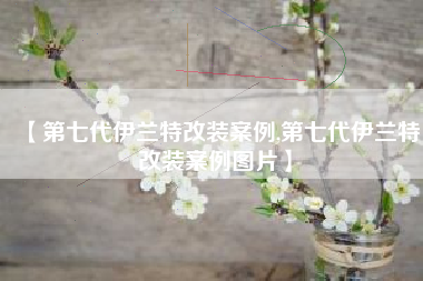 【第七代伊兰特改装案例,第七代伊兰特改装案例图片】