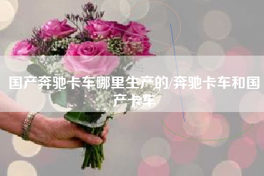 国产奔驰卡车哪里生产的/奔驰卡车和国产卡车 国产奔驰卡车哪里生产的/奔驰卡车和国产卡车