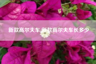 新款高尔夫车/新款高尔夫车长多少