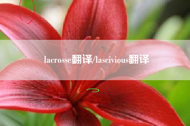 lacrosse翻译/lascivious翻译