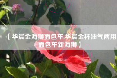 【华晨金海狮面包车,华晨金杯油气两用面包车新海狮】