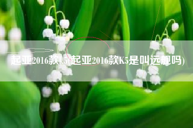 起亚2016款k5(起亚2016款K5是叫远舰吗) 起亚2016款k5(起亚2016款K5是叫远舰吗)