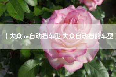 【大众suv自动挡车型,大众自动挡的车型】