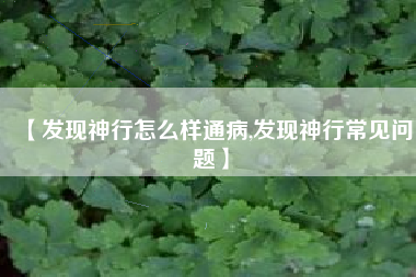 【发现神行怎么样通病,发现神行常见问题】