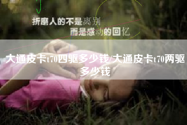 大通皮卡t70四驱多少钱/大通皮卡t70两驱多少钱 大通皮卡t70四驱多少钱/大通皮卡t70两驱多少钱