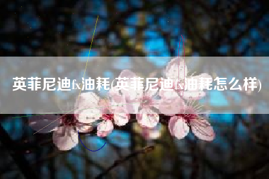 英菲尼迪fx油耗(英菲尼迪fx油耗怎么样)