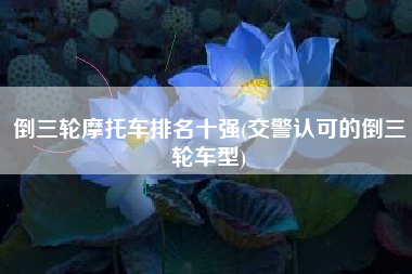 倒三轮摩托车排名十强(交警认可的倒三轮车型) 倒三轮摩托车排名十强(交警认可的倒三轮车型)