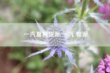 一汽夏利骏派/一汽 骏派