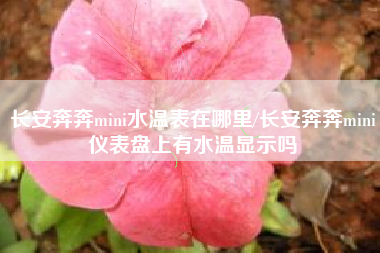 长安奔奔mini水温表在哪里/长安奔奔mini仪表盘上有水温显示吗