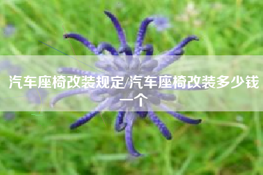 汽车座椅改装规定/汽车座椅改装多少钱一个