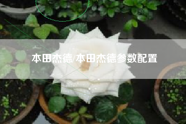 本田杰德/本田杰德参数配置