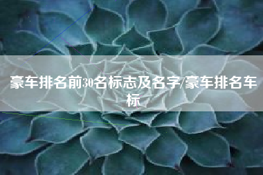 豪车排名前30名标志及名字/豪车排名车标 豪车排名前30名标志及名字/豪车排名车标