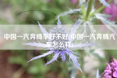 中国一汽奔腾车好不好(中国一汽奔腾汽车怎么样)