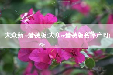 大众新cc猎装版(大众cc猎装版会停产吗)