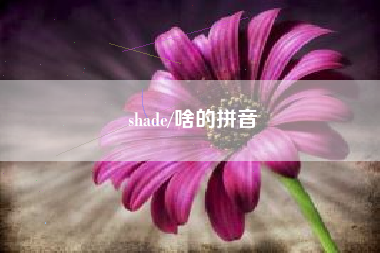 shade/啥的拼音