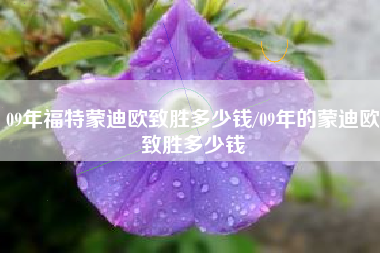 09年福特蒙迪欧致胜多少钱/09年的蒙迪欧致胜多少钱