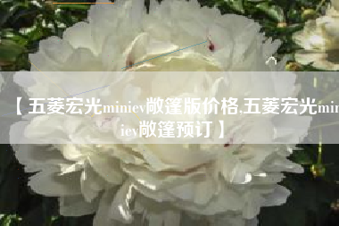 【五菱宏光miniev敞篷版价格,五菱宏光miniev敞篷预订】 【五菱宏光miniev敞篷版价格,五菱宏光miniev敞篷预订】