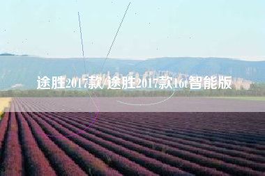 途胜2017款/途胜2017款16t智能版