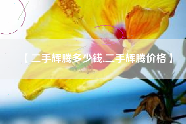 【二手辉腾多少钱,二手辉腾价格】