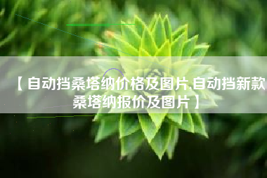 【自动挡桑塔纳价格及图片,自动挡新款桑塔纳报价及图片】