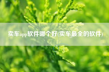 卖车app软件哪个好(卖车最全的软件)