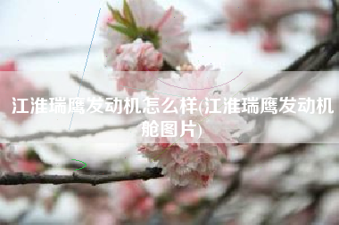 江淮瑞鹰发动机怎么样(江淮瑞鹰发动机舱图片) 江淮瑞鹰发动机怎么样(江淮瑞鹰发动机舱图片)