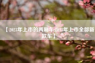 【2023年上市的两厢车,2023年上市全部新款车】