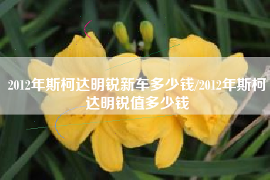 2012年斯柯达明锐新车多少钱/2012年斯柯达明锐值多少钱 2012年斯柯达明锐新车多少钱/2012年斯柯达明锐值多少钱