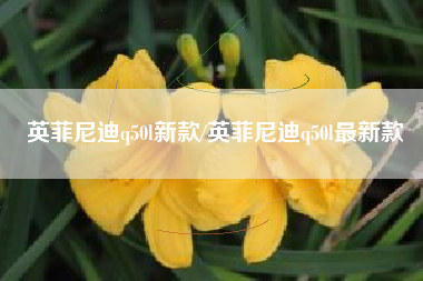 英菲尼迪q50l新款/英菲尼迪q50l最新款