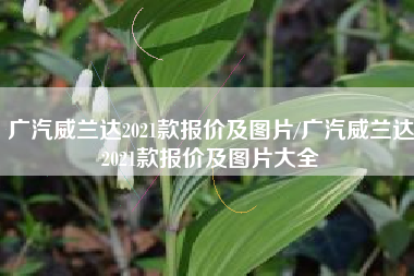 广汽威兰达2021款报价及图片/广汽威兰达2021款报价及图片大全 广汽威兰达2021款报价及图片/广汽威兰达2021款报价及图片大全