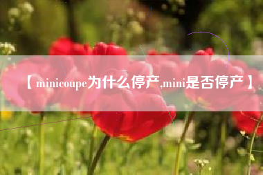 【minicoupe为什么停产,mini是否停产】