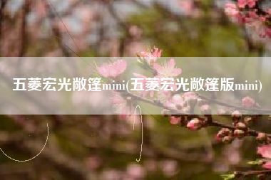 五菱宏光敞篷mini(五菱宏光敞篷版mini)