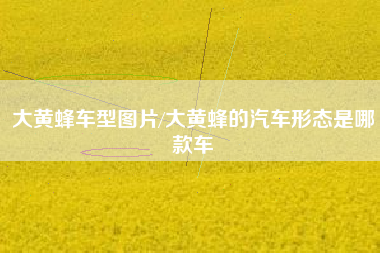 大黄蜂车型图片/大黄蜂的汽车形态是哪款车